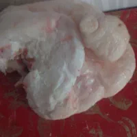 فروش دنبه ،جگر دل قلوه