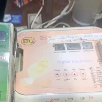 دستگاه جوجه کشی تمام اتومات