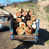 خرید چوبهای باغی صنوبر ومرکبات|خدمات باغبانی و درختکاری|ساری, |دیوار