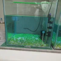 آکواریوم ابیک