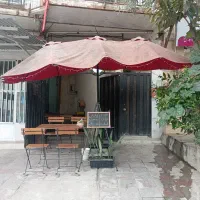 چتر دوقلو