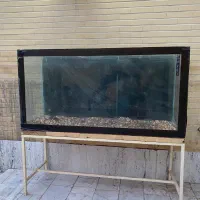 اکواریوم