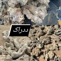 ددراک و لایوراک ابشور