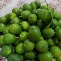فروش لیمو شیشه