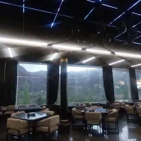بارتندر  باریستا