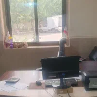 استخدام منشی(اشنا با امور حسابداری)