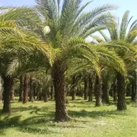 استخدام بازاریاب