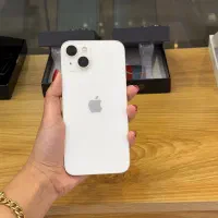 Apple 13normal