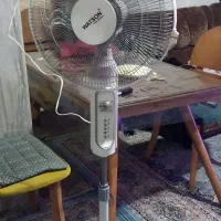 پنکه واتسون