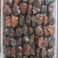 خرمای بوشهر