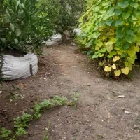فروش-ویلا340متر-وستایی-سرمایه-گذاری-عالی-آسیانوین