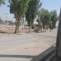 قطع وحرص درخت
