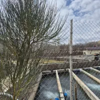 مشارکت و سرمایه گذار در زمینه پرورش ماهی قزل‌آلا