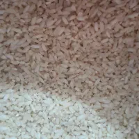 برنج