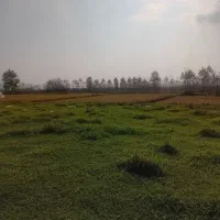 گرفتن سند و آب و برق و گاز