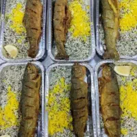 تهیه غذا شرکتی ونذری