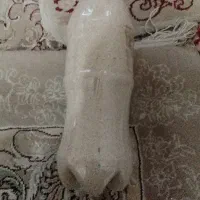 بذر درجه یک