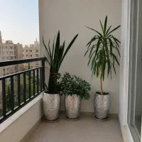 گلهای  طبیعی