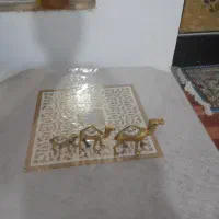 شتر تزیینی
