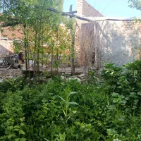 ویلایی-در-بهترین-اب-و-هوای-کشور