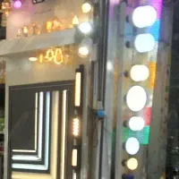 ریسه شلنگی یا ریسه خطی لاین نور|ریسه و چراغ تزئینی|تهران, لاله زار|دیوار