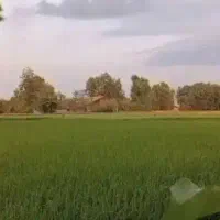 فروش زمین طرح توحید