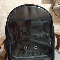 باکس گربه