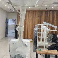 دی ار/ تیوپ/اندوسکوپی