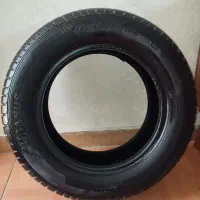 لاستیک یزد