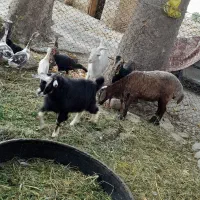 ۹۰۰۰۰۰۰۰۰