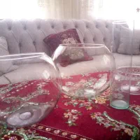 گلدان‌ شیشه‌ای مناسب برای تراریوم