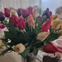 گل رز خارجی