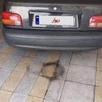 پراید۸۱ سلامت مشکی روغنی