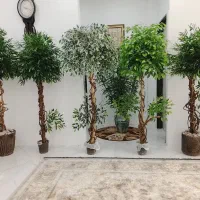درختچه بنجامین مصنوعی با تنه طبیعی