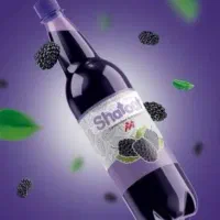 پخش مهدی
