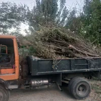 حمل نوخاله ساختمانی