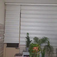 پرده زبرا
