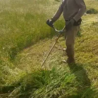 علف زنی چاله کنی  فنس کشی  کار میکنیم