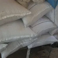 گندم ساورز کیلو ۴۳ هزار تومان