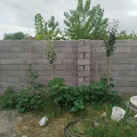 زمین-شهرکی