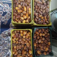 خرما تازه جنوب  ا