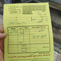 چای دستچین،سرگل بهاره امسال،درجه یک،طبیعی