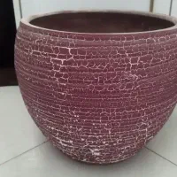 تعدادی‌گل‌وگلدان