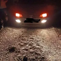 پارس مشکی