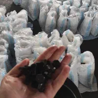 پیچ خشکه (تولید کننده)