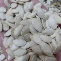 تخم کدو|خوردنی و آشامیدنی|پارسآباد, |دیوار