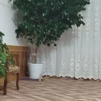 گل و گیاه