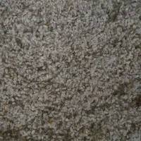 فروش تخم پنبه و اشکولک دامی