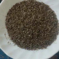 زیره کوهی
