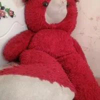 عروسک خرس شاسخین